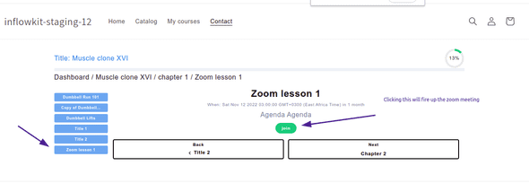Screenshot showing zoom webinar