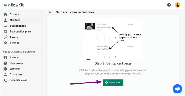 Screenshot Install cart snippet